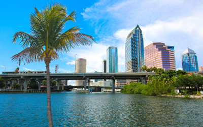 Tampa Housing Market Cools: A New Opportunity for South Florida Buyers?